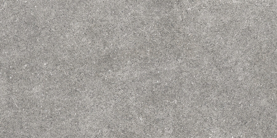 Gạch Arizona VGC-AZ5-GM3602 30x60 men matt màu xám thẫm