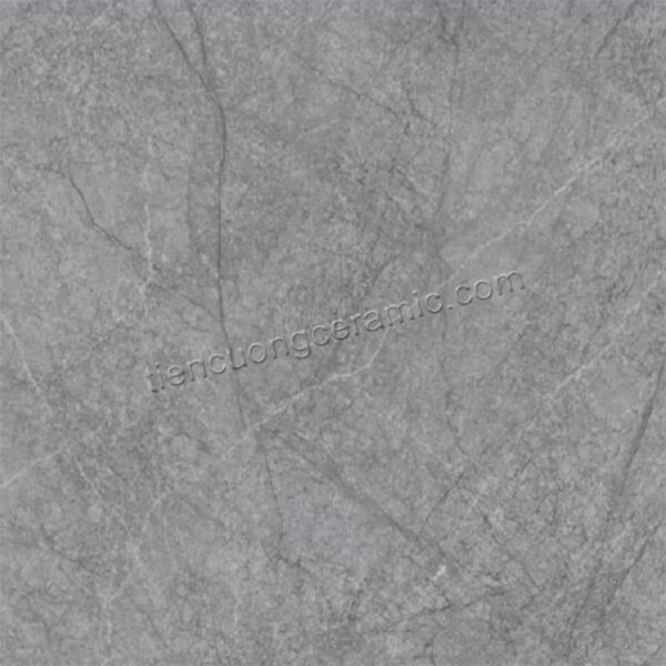 Gạch Viglacera CL52-9GP101002 100x100 vân đá