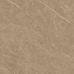 Gạch Arizona VGC-AZ8-GP6605 60x60 men bóng màu nâu